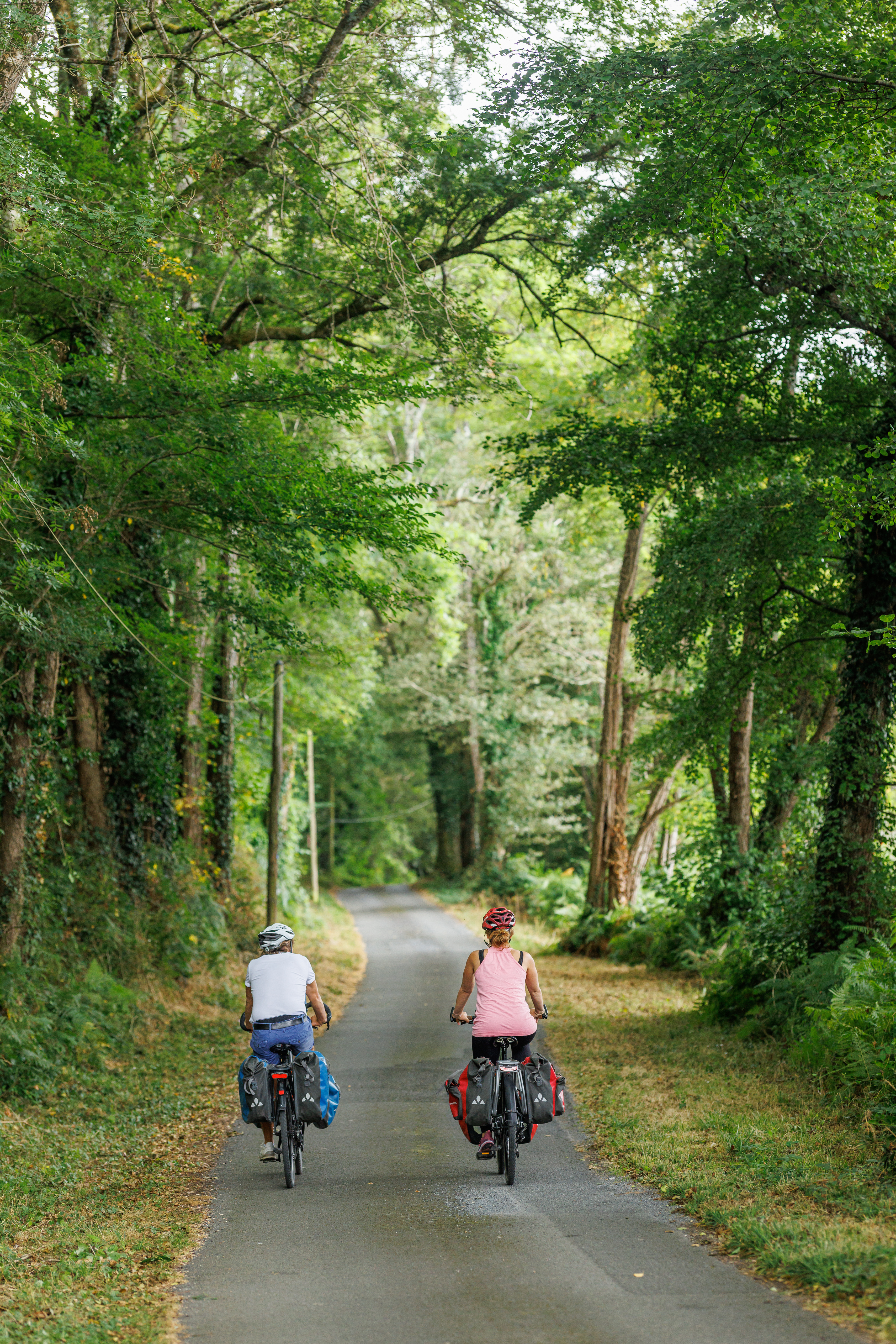 Saint-Jacques à vélo V41, Dangé-Saint-Romain - photo 2