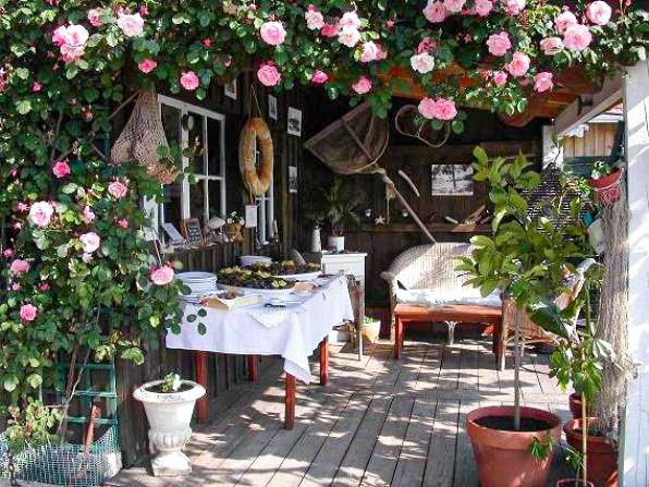 La Vie Sauvage - photo 2