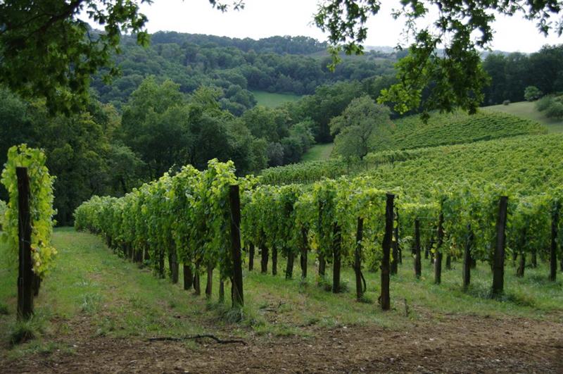 Domaine Vignau La Juscle