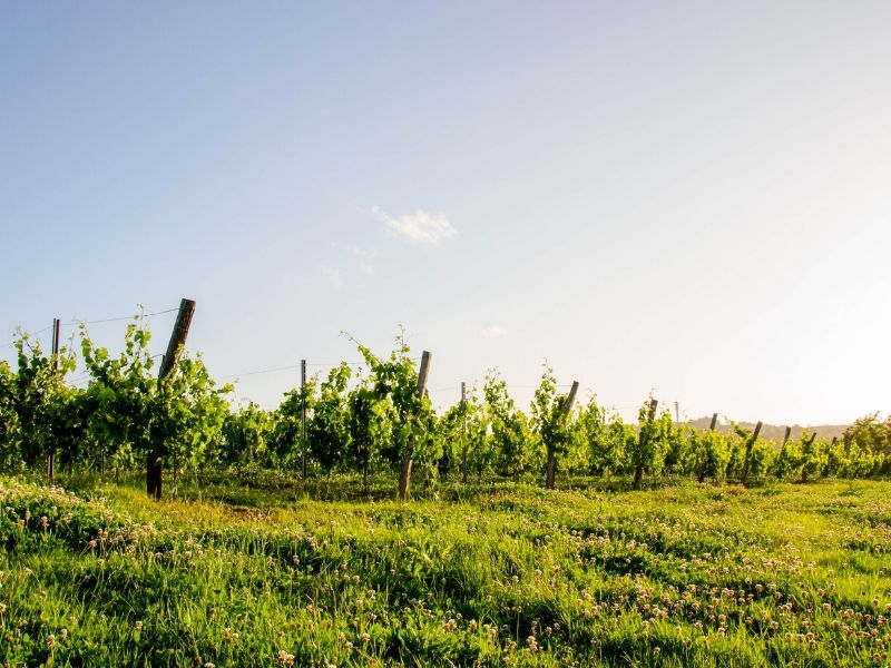 Boucle locale du Cheval Blanc