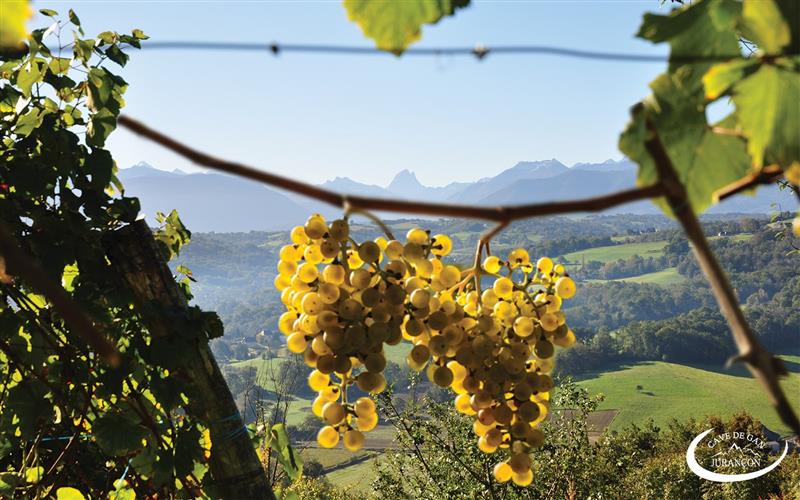 Cave des Producteurs de Jurançon