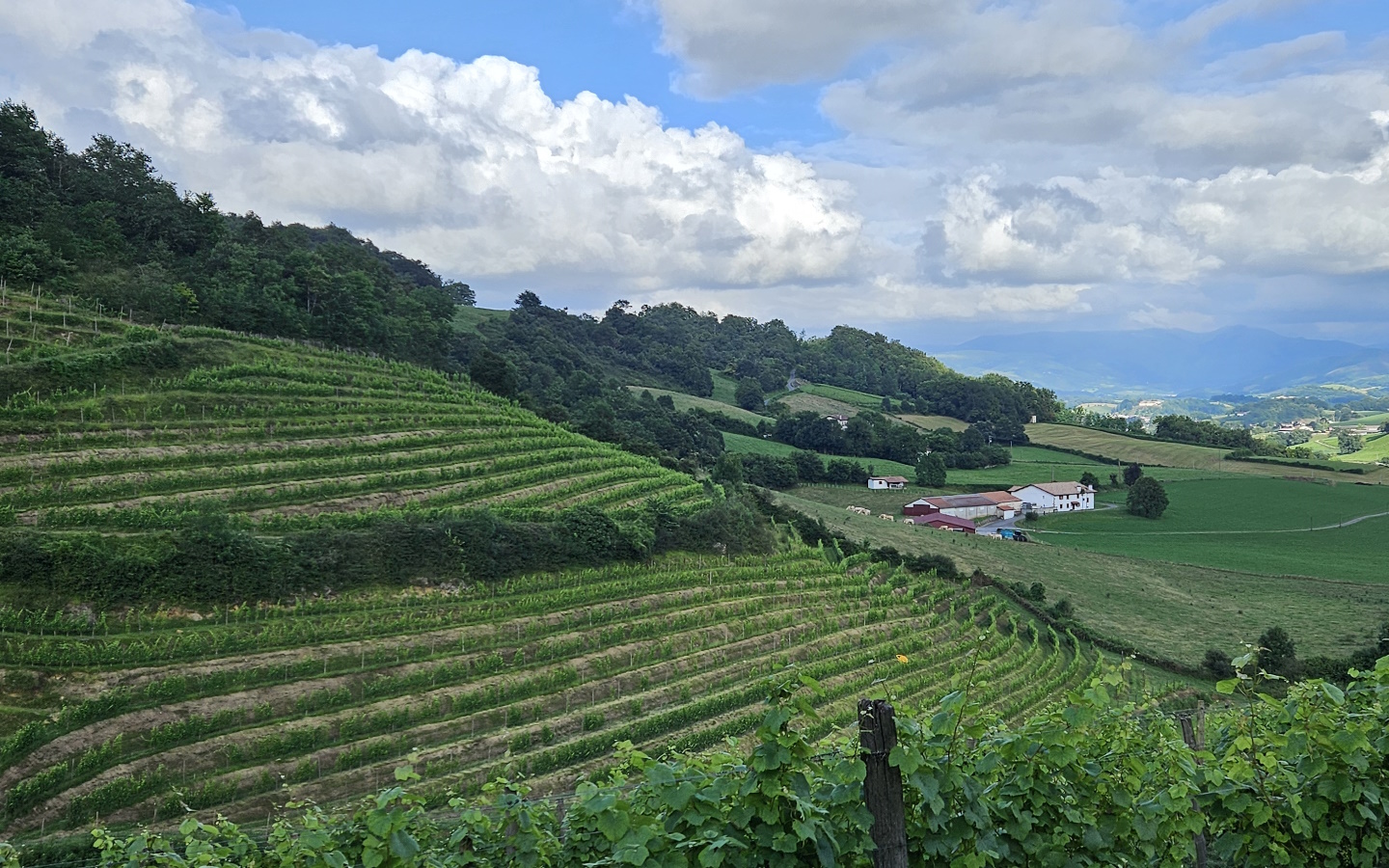 Table d'orientation Prieuré d'Irouléguy, Irouléguy - photo 3