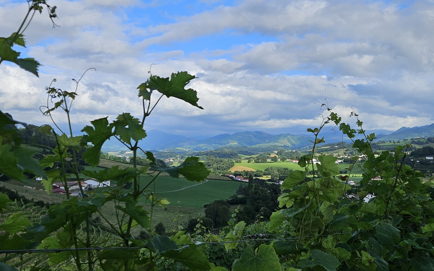 Table d'orientation Prieuré d'Irouléguy, Irouléguy - photo 2
