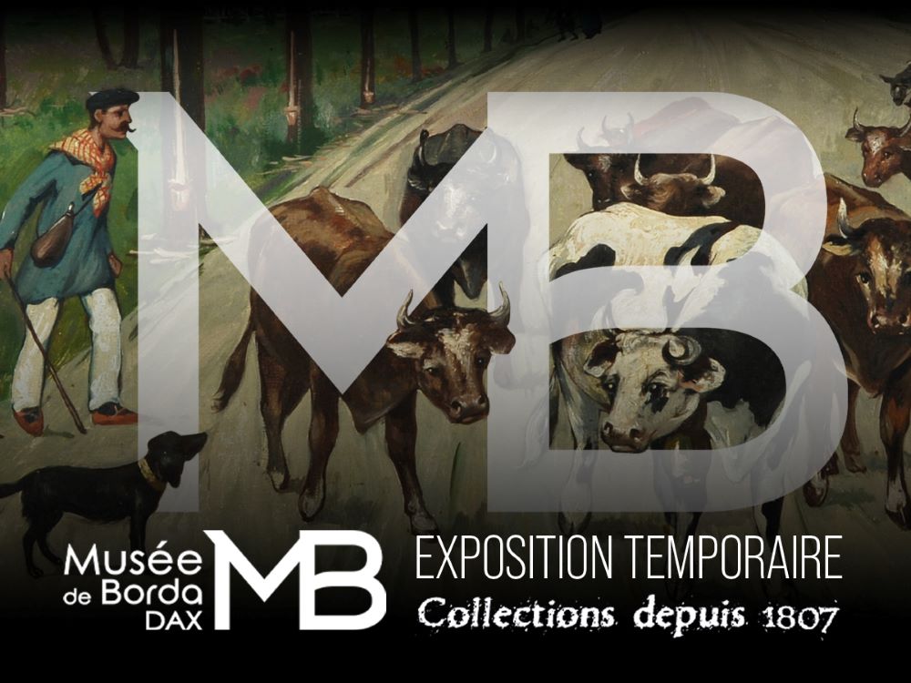Musée de Borda et Site antique, Dax - photo 7