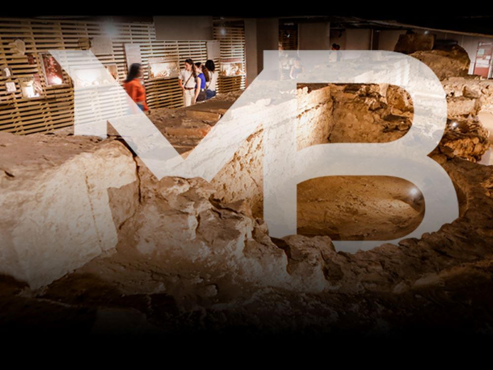 Musée de Borda et Site antique