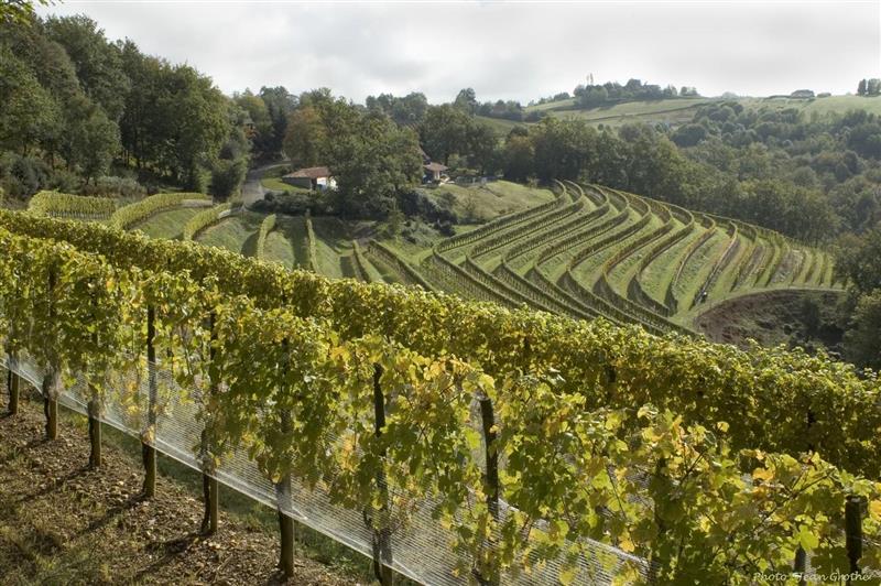 Les jardins de Babylone