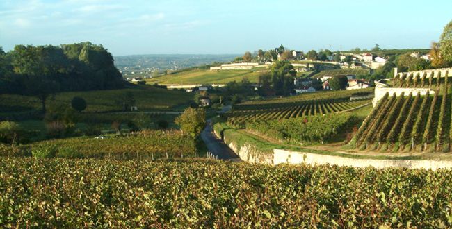 Boucle vélo : La route des vins en famille