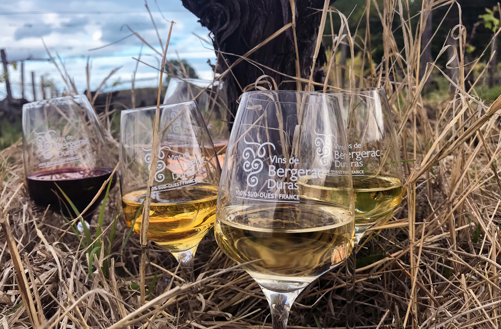 Vignobles Alard - SCEA ALARD - photo 2