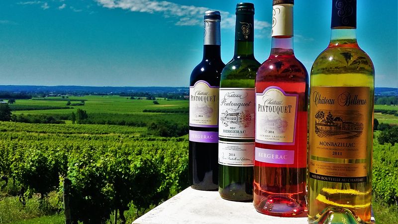 Vignobles Lajonie - photo 5