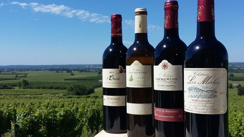 Vignobles Lajonie