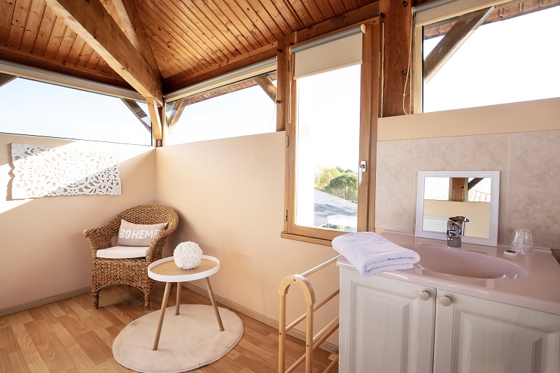 Vignoble des Verdots, Conne-de-Labarde - photo 5