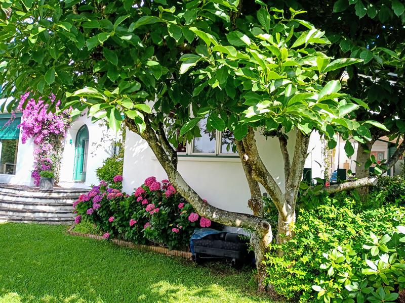 Villa mitoyenne La Madrague