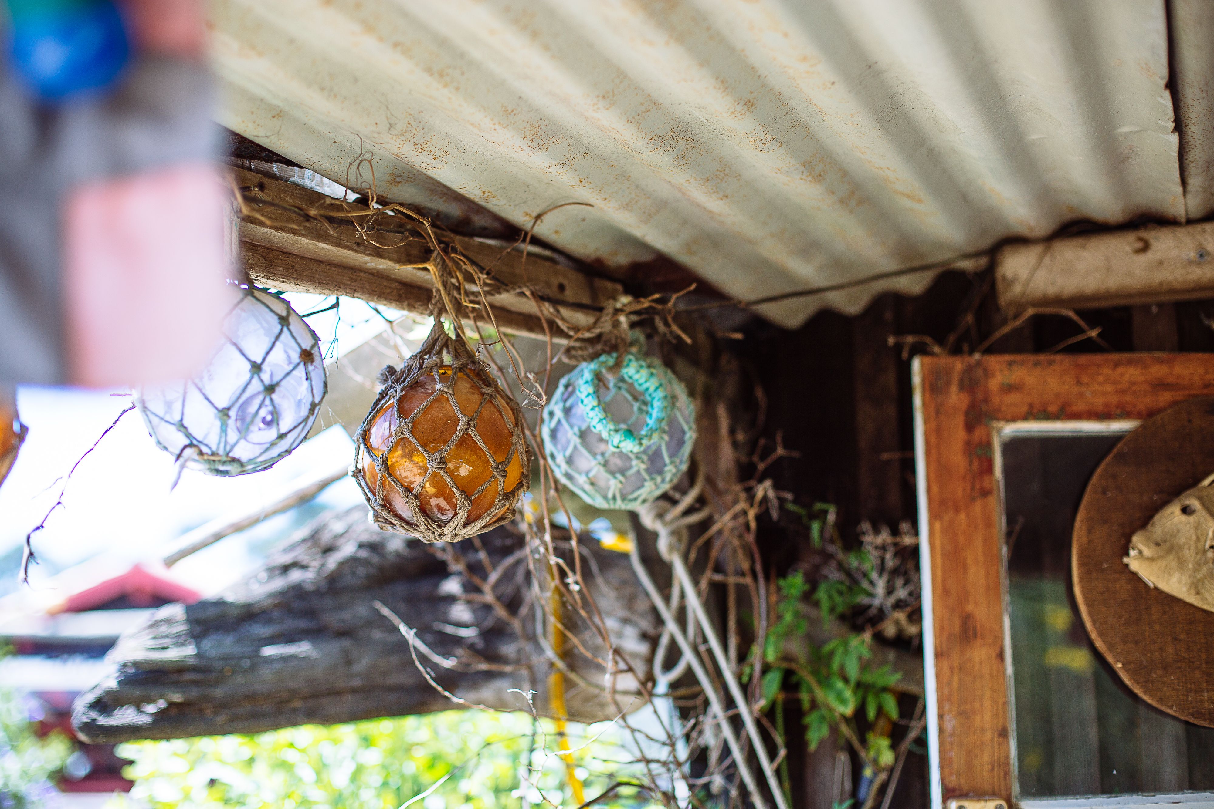 Emile et Une Huître - photo 2