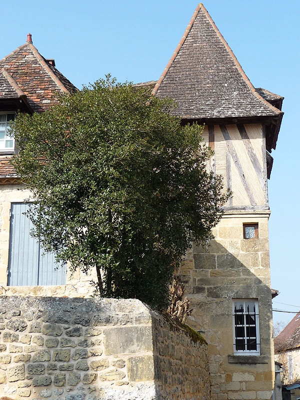 Découverte du village - Lanquais, Lanquais - photo 3