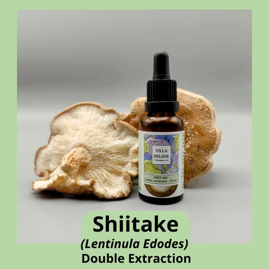 Villa Hélène, champignonnière Bio — Producteurs & Artisans à Haute-Vienne