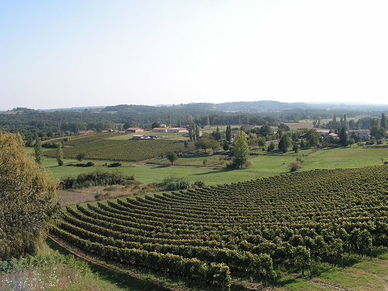 Boucle de Mondésir à Villefranche de Lonchat, Villefranche-de-Lonchat - photo 3