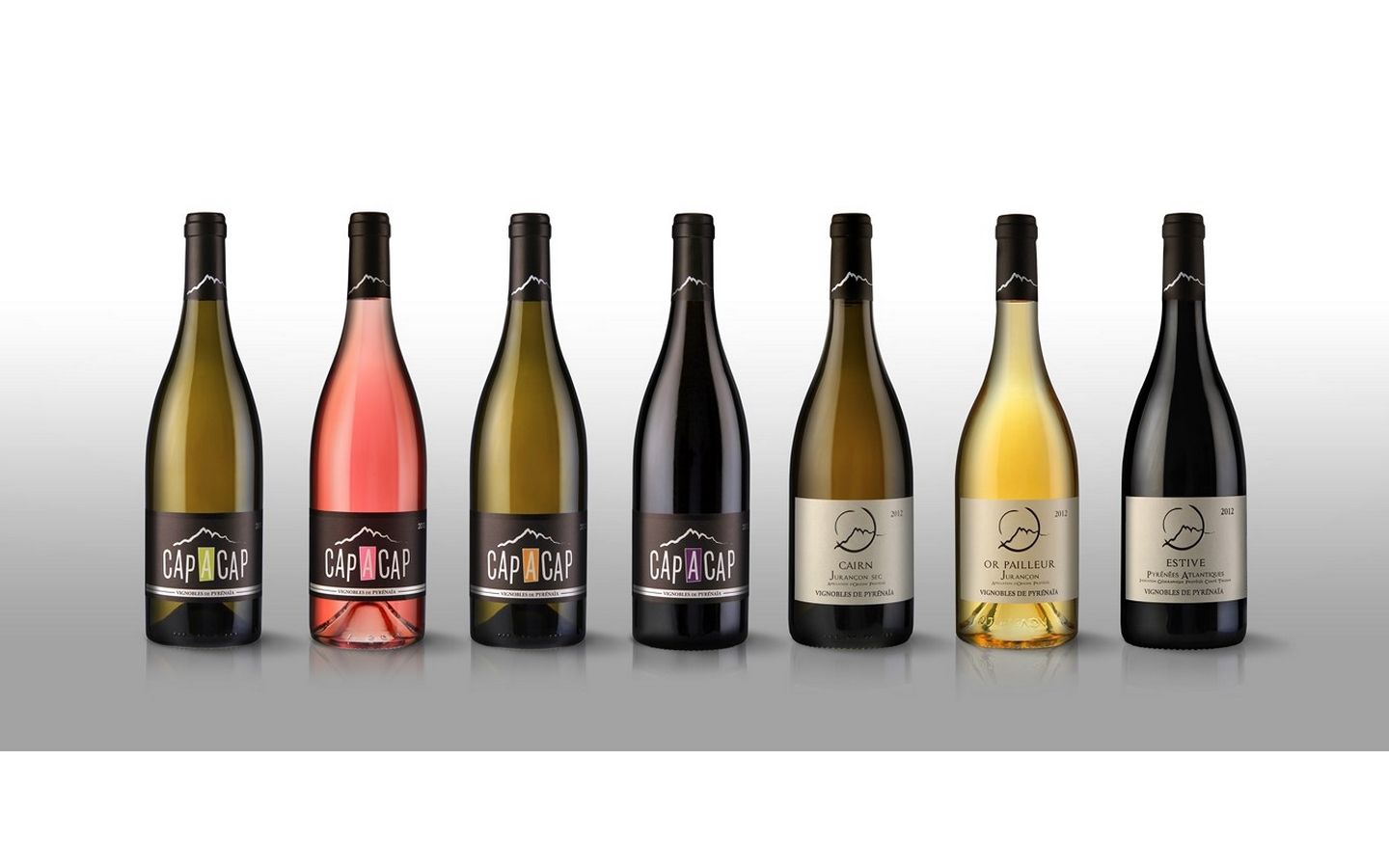 Vignobles de Pyrénaïa — photo 2
