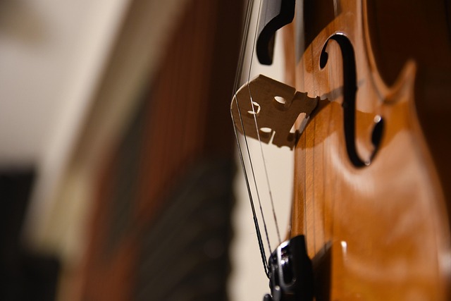 Concert "Éclats baroques et classiques" - Quatuor à cordes et flûte