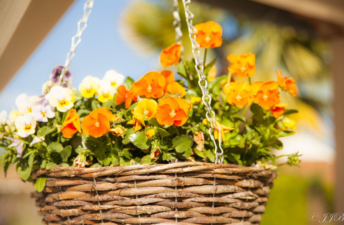 La Virada, Saint-Léon-sur-l'Isle - photo 5