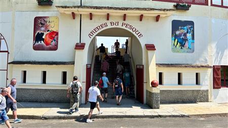  Visite guidée des arènes 