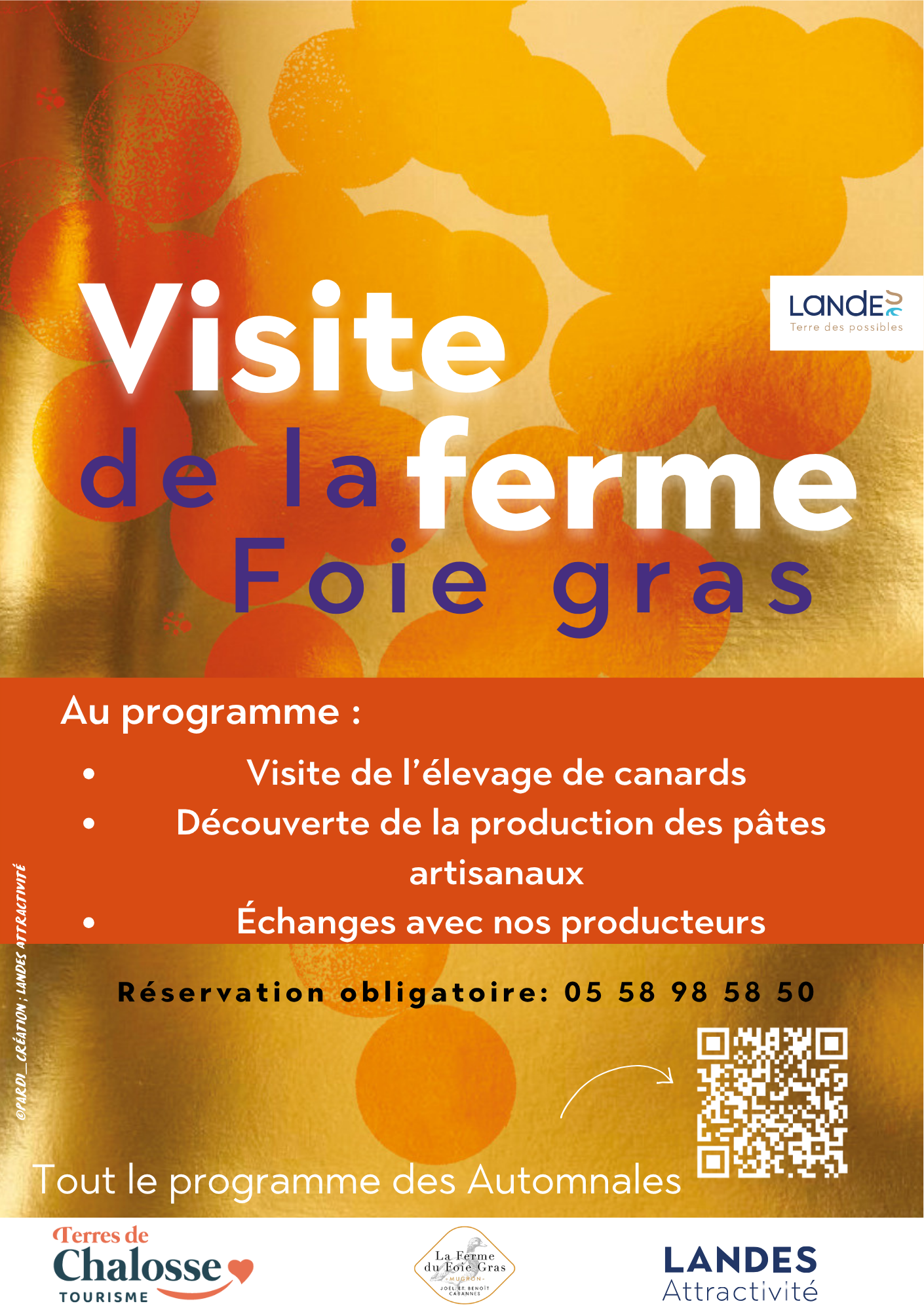 Visite de la ferme du Foie gras (ferme et pâtes) - Les Automnales du foie gras