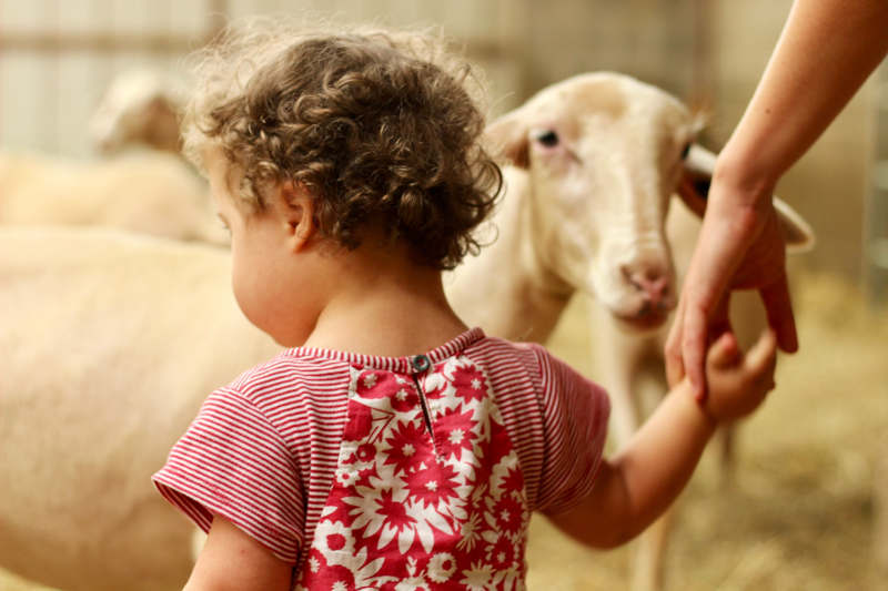 Bergerie de Lanouaille - photo 4