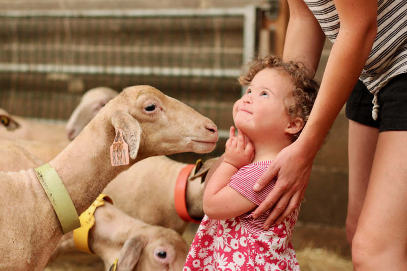 Bergerie de Lanouaille - photo 3