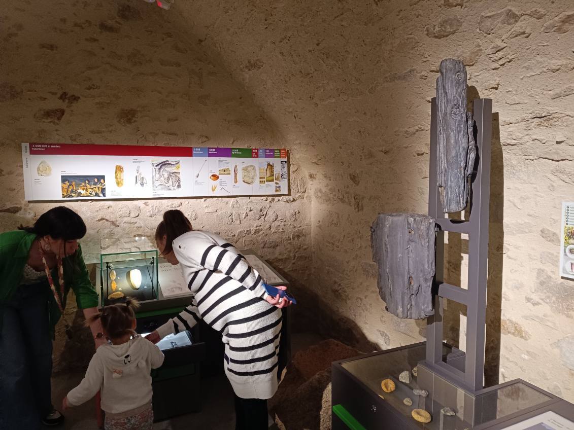 Visite guidée du Musée L'Abbaye, Mauléon - photo 5