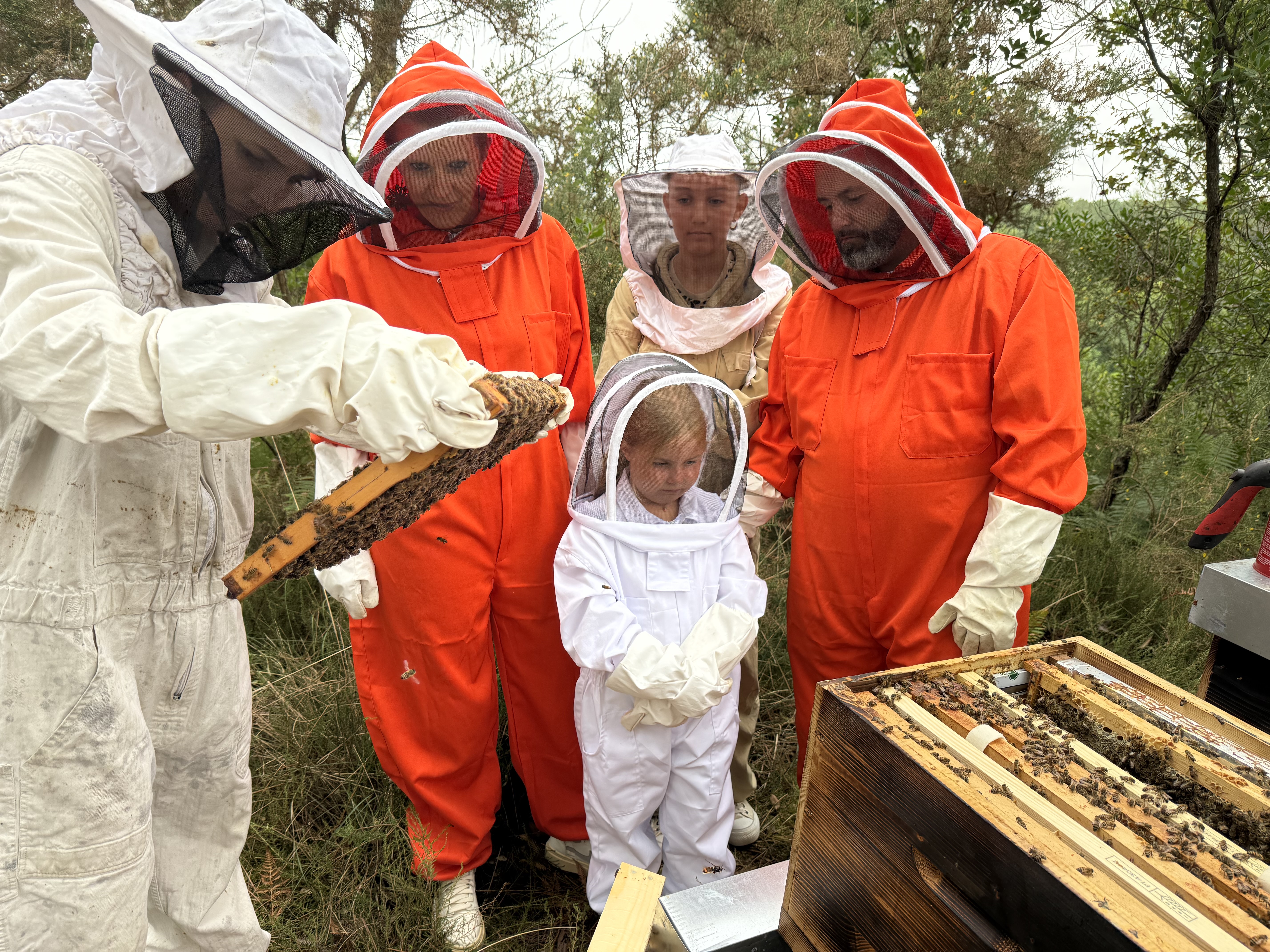 Visite à la miellerie Apis Mellona, Bénesse-Maremne - photo 3