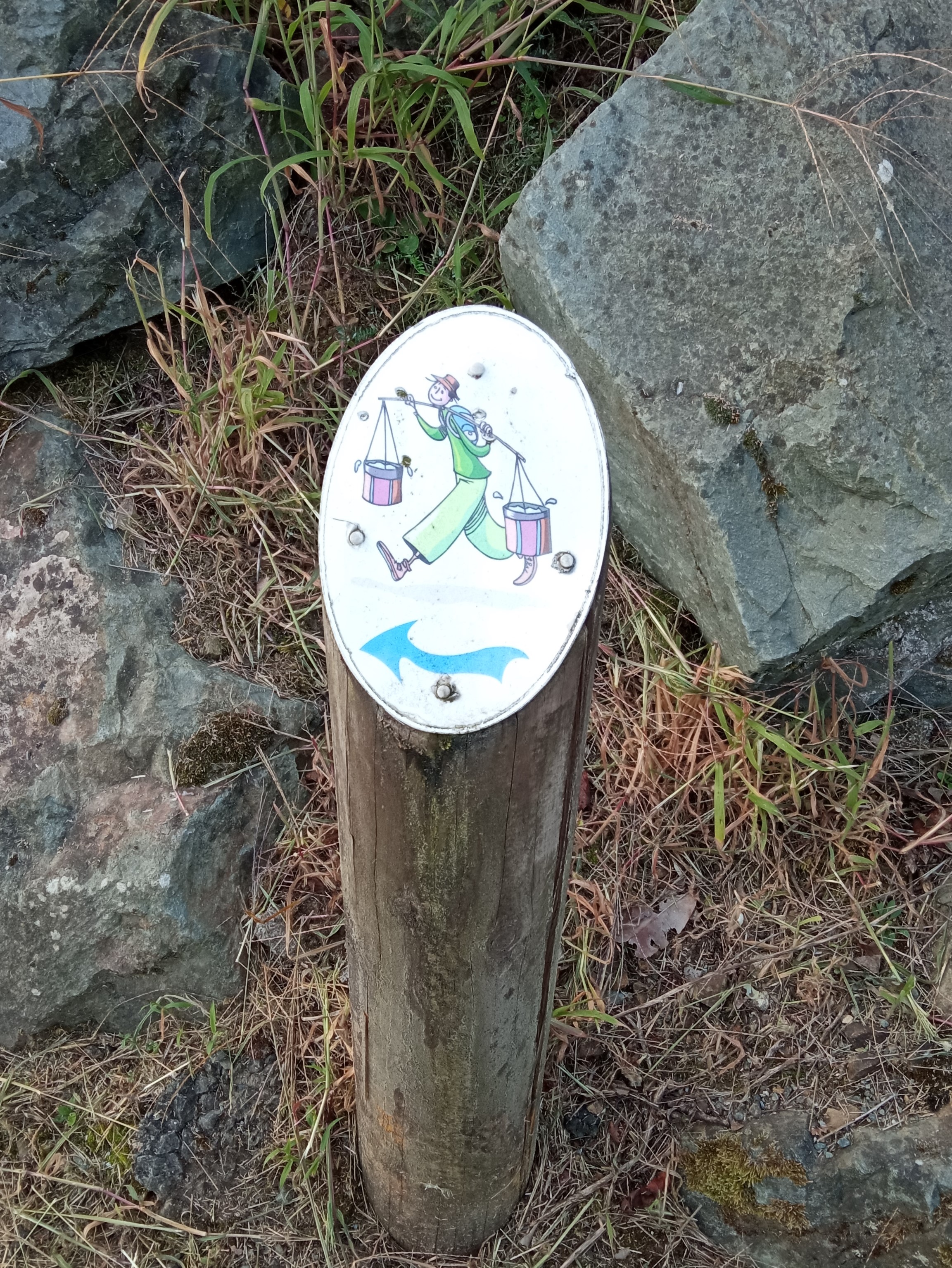 La Rand'eau, Mazières-en-Gâtine - photo 2