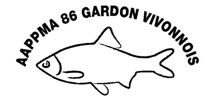 Plan d'eau de Château-Larcher, Château-Larcher - photo 2