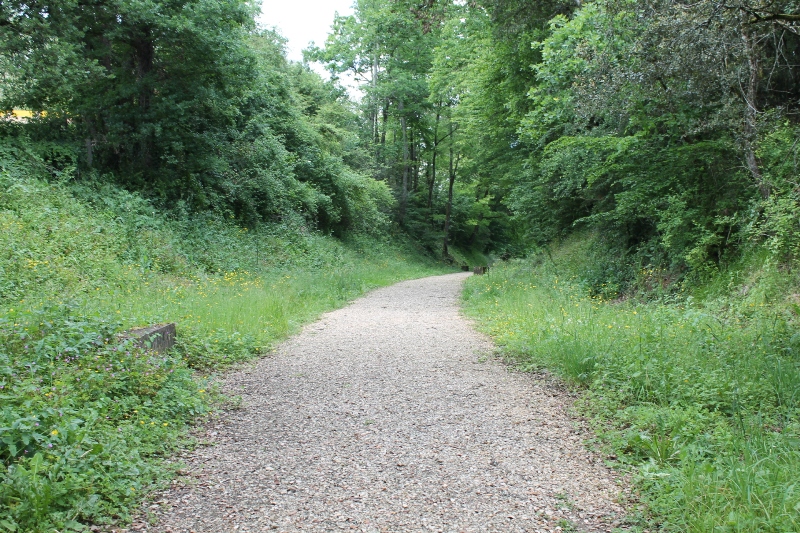 Boucle La Salamandre - photo 5