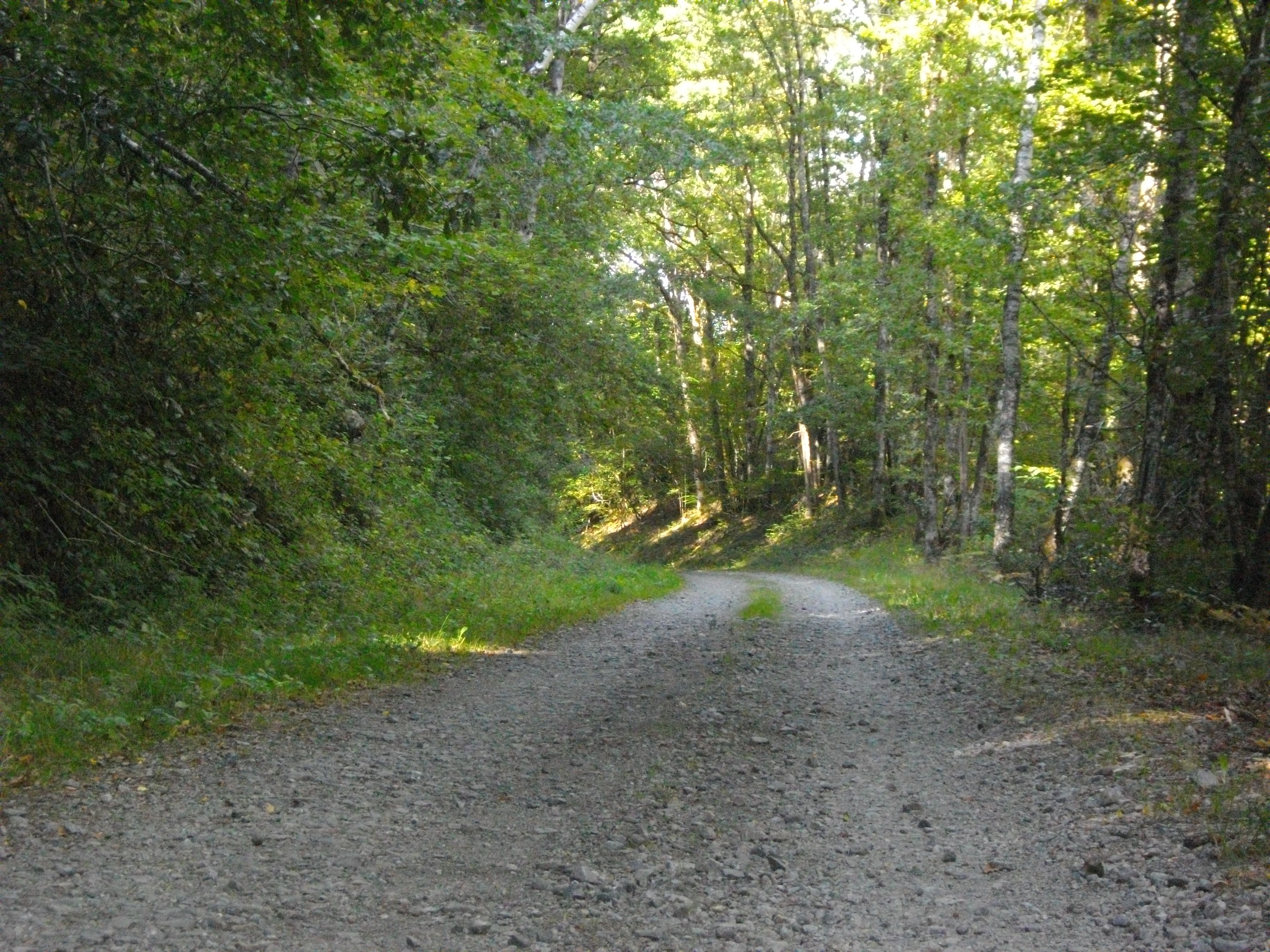 VTC - Circuit loisir La Vallée du Chavanon - 15 km, Merlines - photo 2