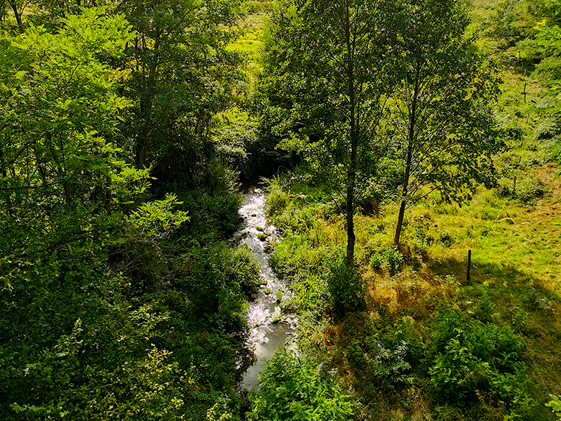 Location de vélos - Espace Loisirs Voie Verte de Châlus - photo 5