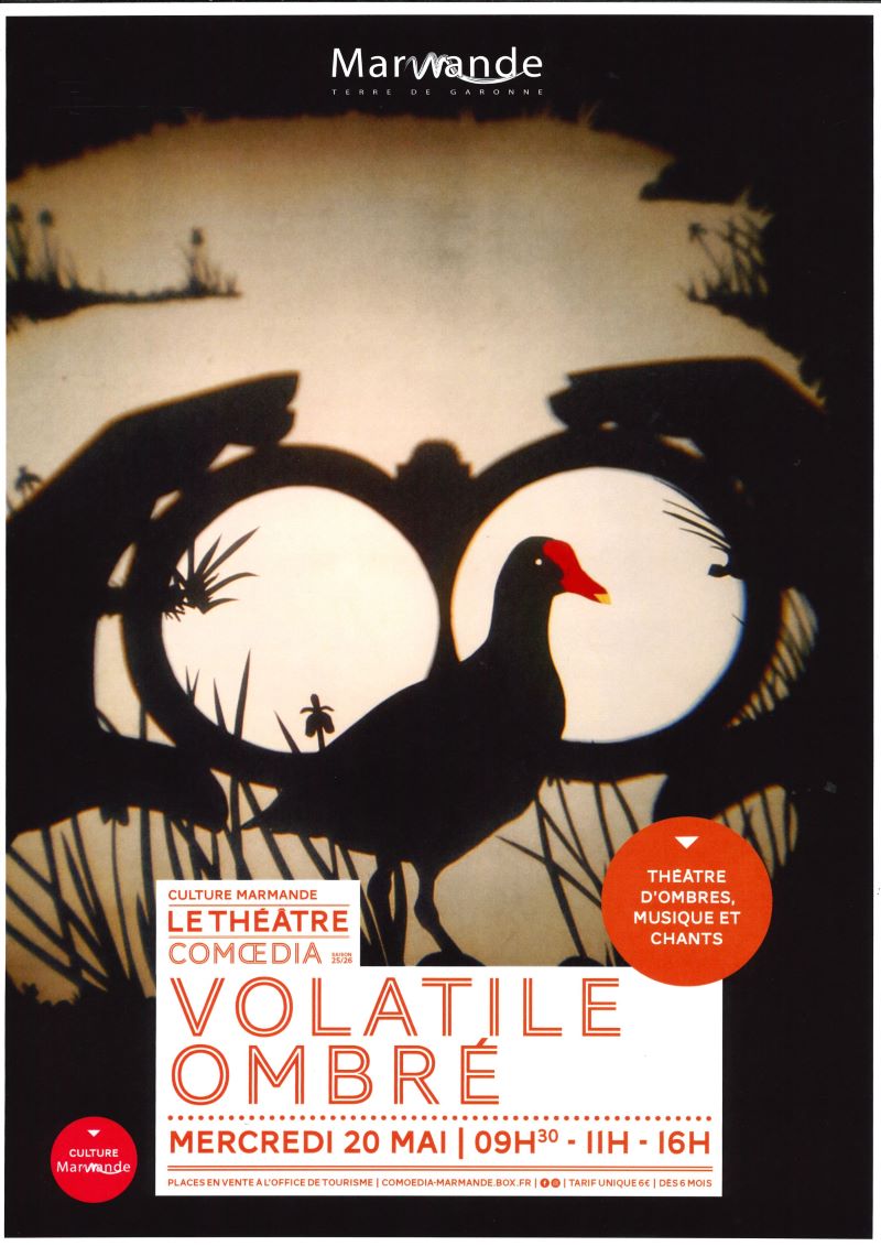Spectacle immersif - "Volatile Ombré", Marmande - photo 3