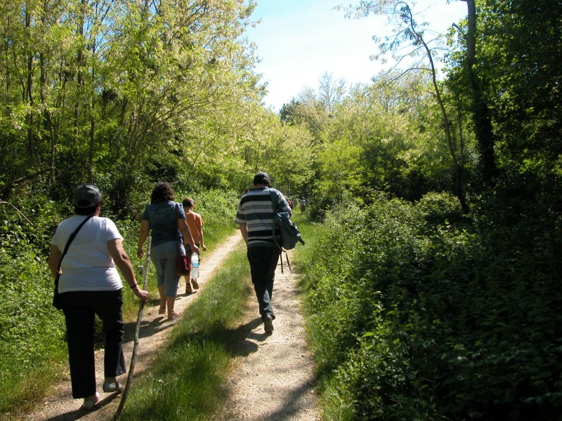 Voyage dans le passé, Saucats