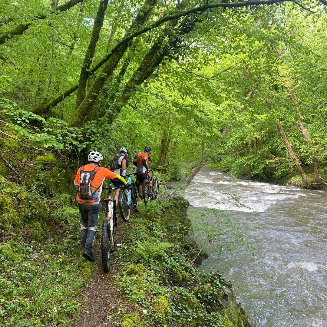 4ème Roues des loues