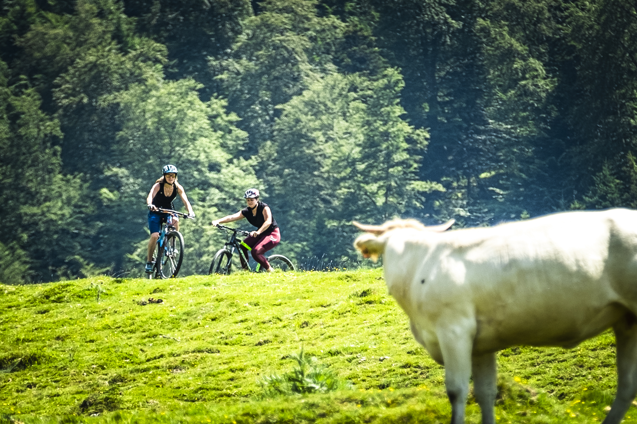 La Grande Traversée VTT des Pyrénées - Laruns - Accous — photo 3