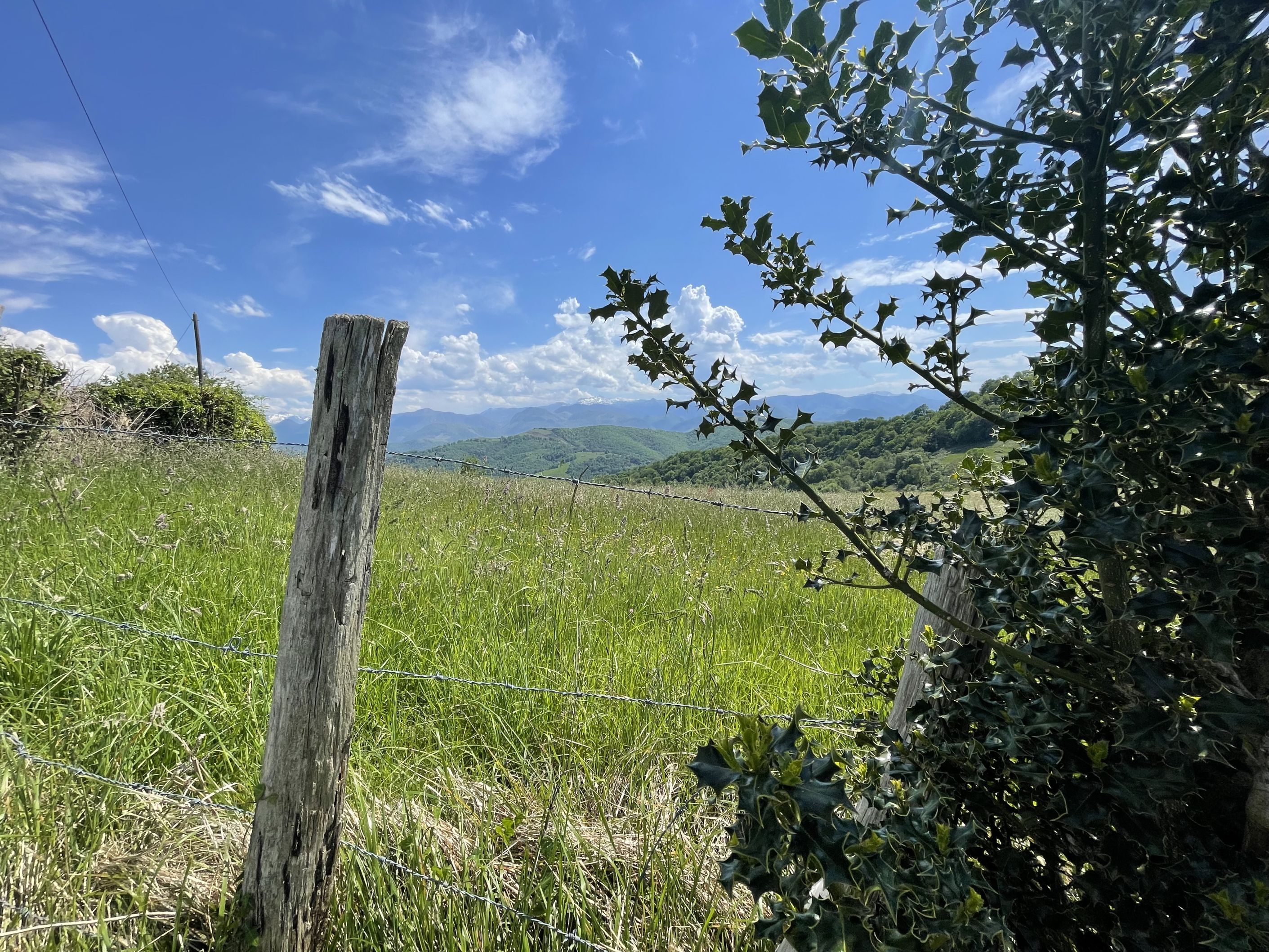 N°92 - Le Cambeillou, Esquiule - photo 3