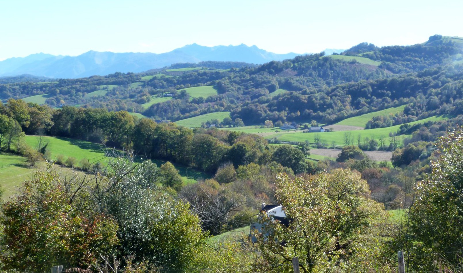 Hôtel-restaurant Chilo, Barcus - photo 12
