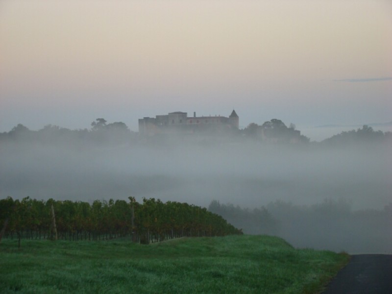 Château Haut Domingue
