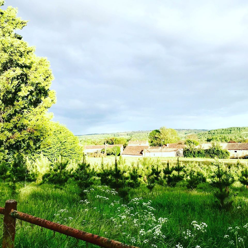 Château des Chauvaux, Douzillac - photo 2