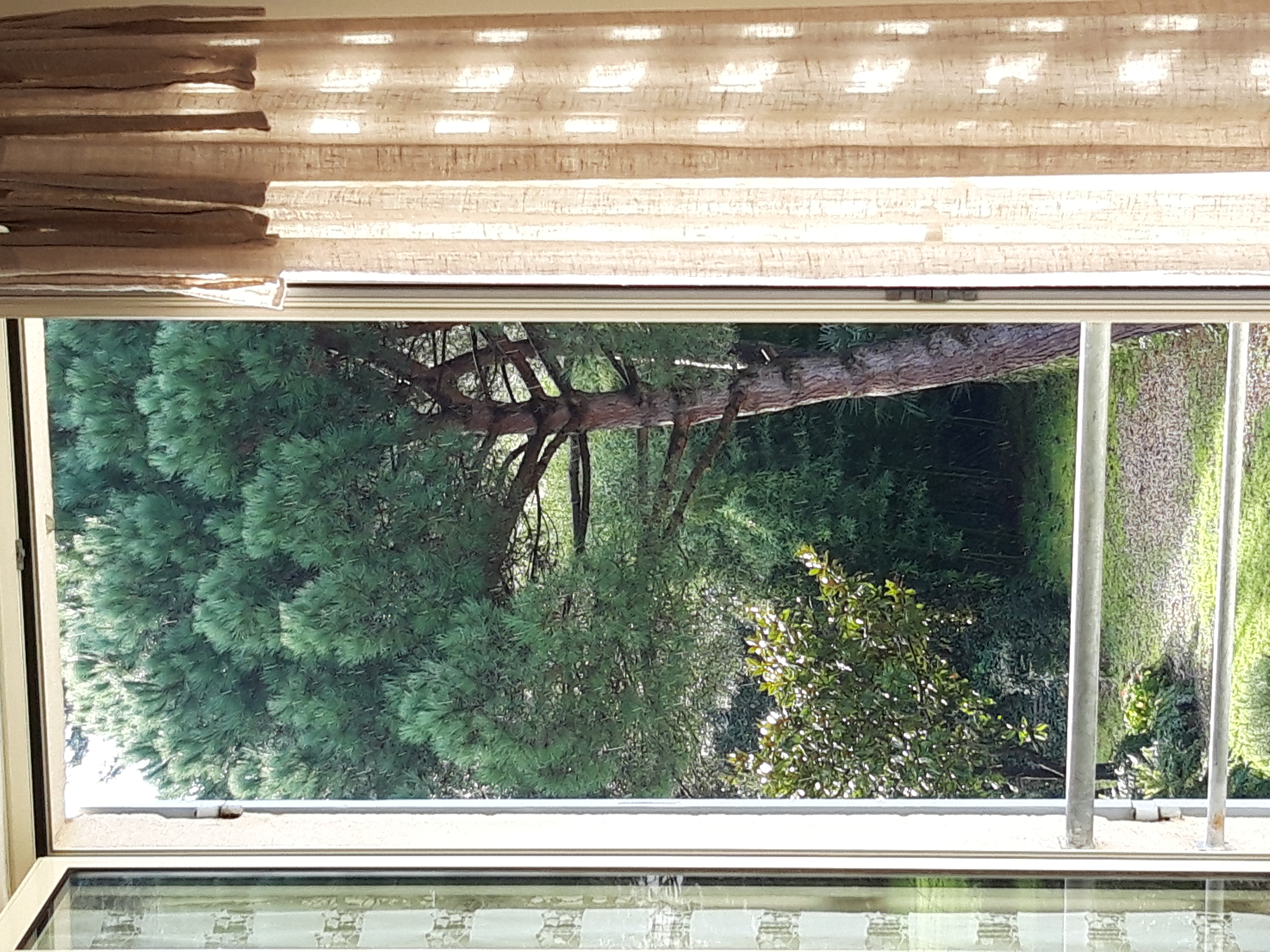 L'Abricotier, Saint-Macaire - photo 8