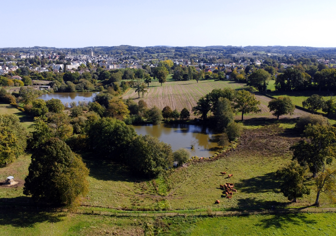 Circuit Uni'Vert Trail n°6 : Racin'es Trail, La Souterraine