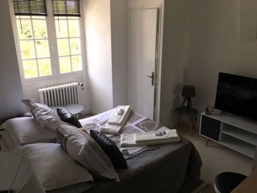 Vue du château d'Excideuil - le studio, Excideuil