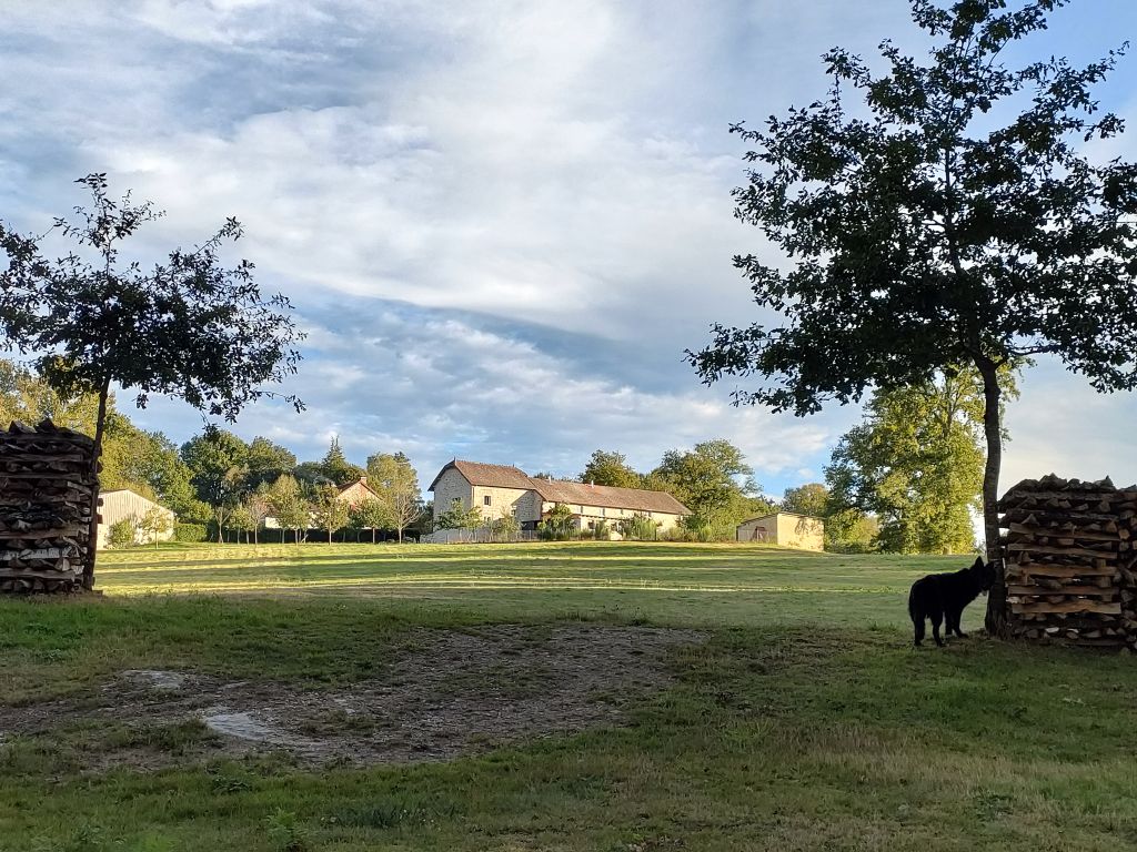 Domaine du Meigneau - Chambre Rose, Banize - photo 3