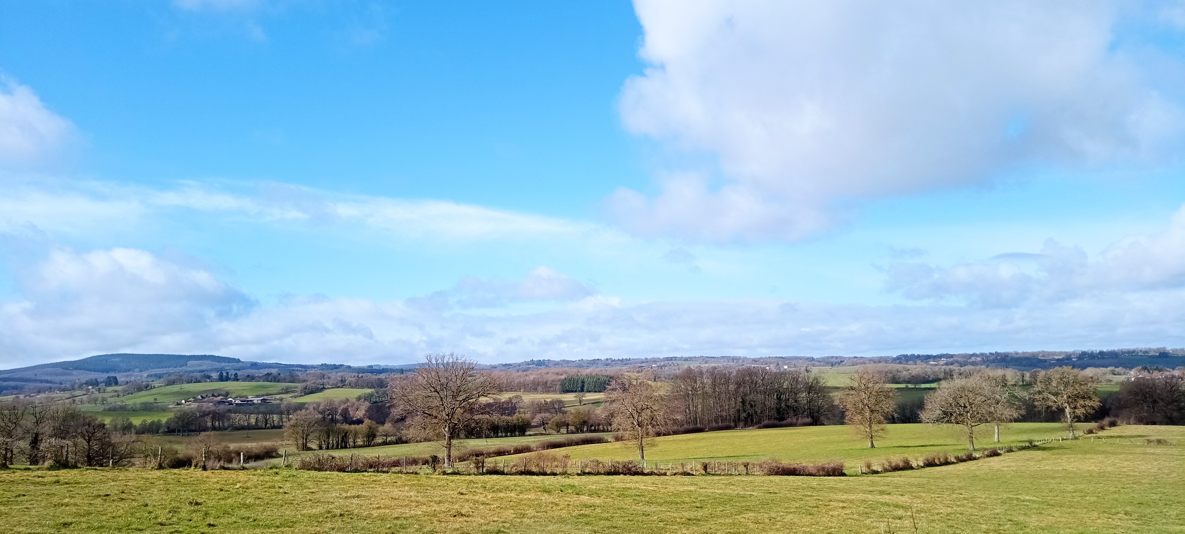 Gite - Ô vert à soi, Nexon - photo 9