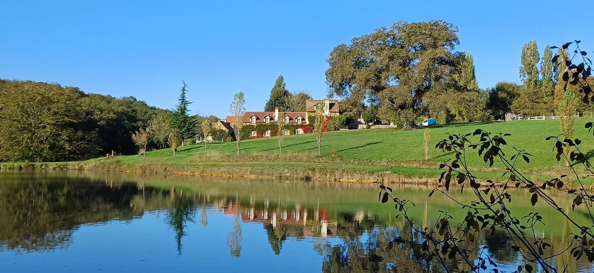 Gîte de la forêt, Senillé-Saint-Sauveur - photo 11