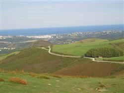 vue suhalmendi