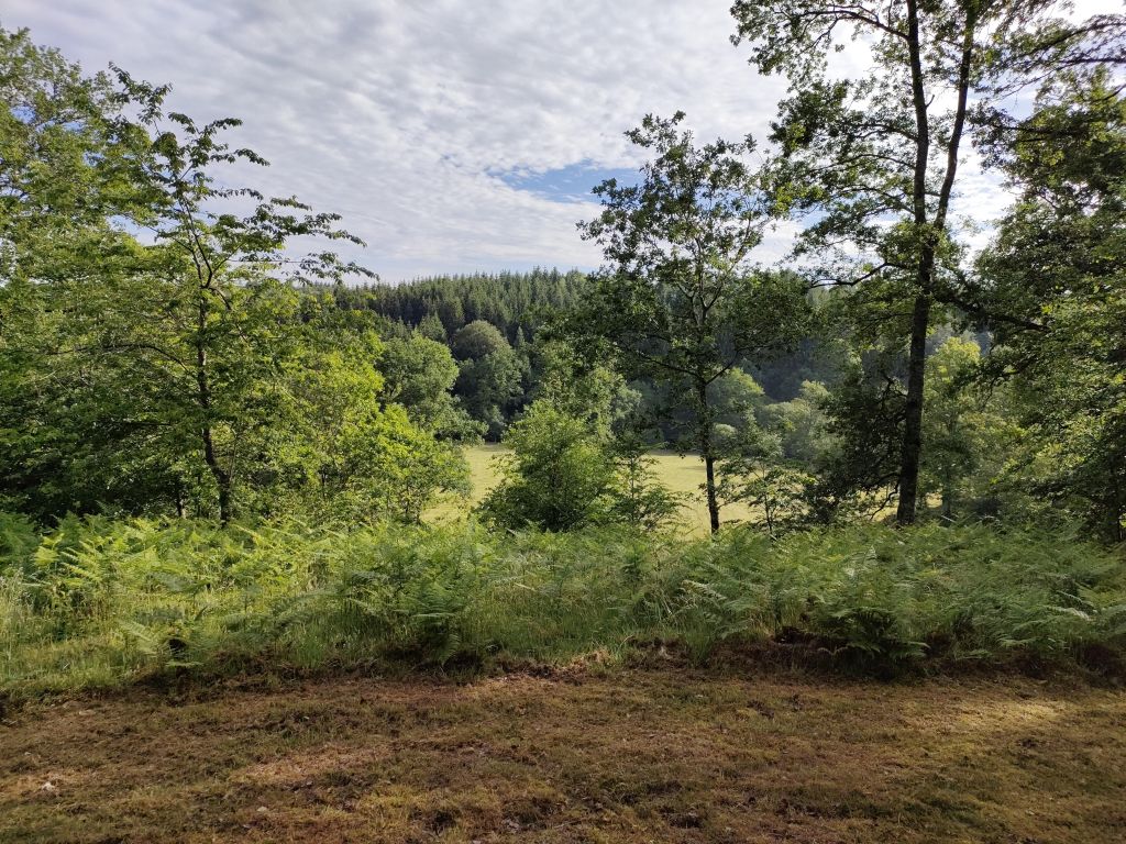 Domaine du Meigneau - Studio bleu, Banize - photo 11